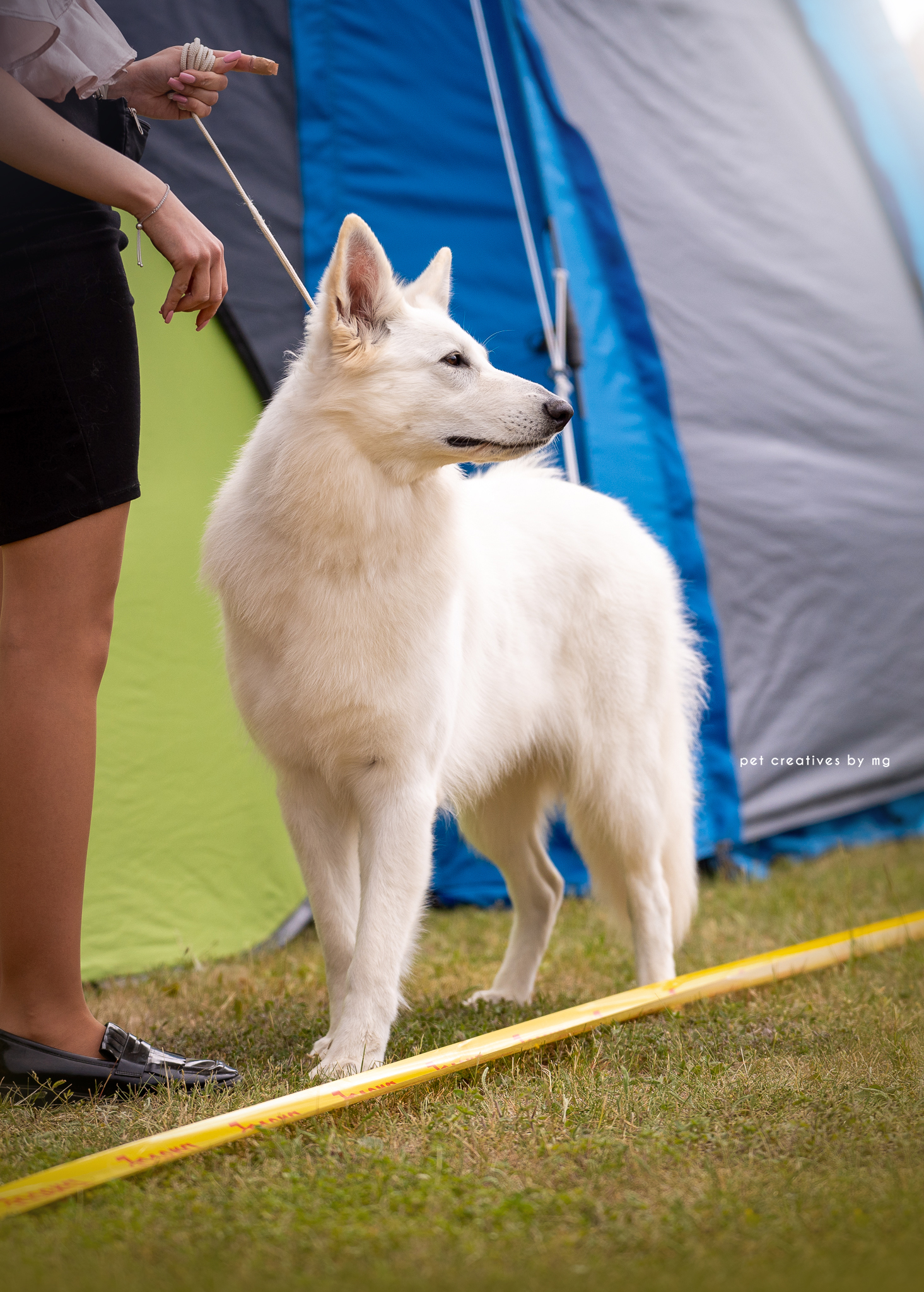 Foxy Lady - Babimost 2024